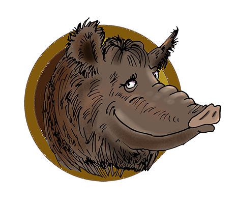 Herman the boar